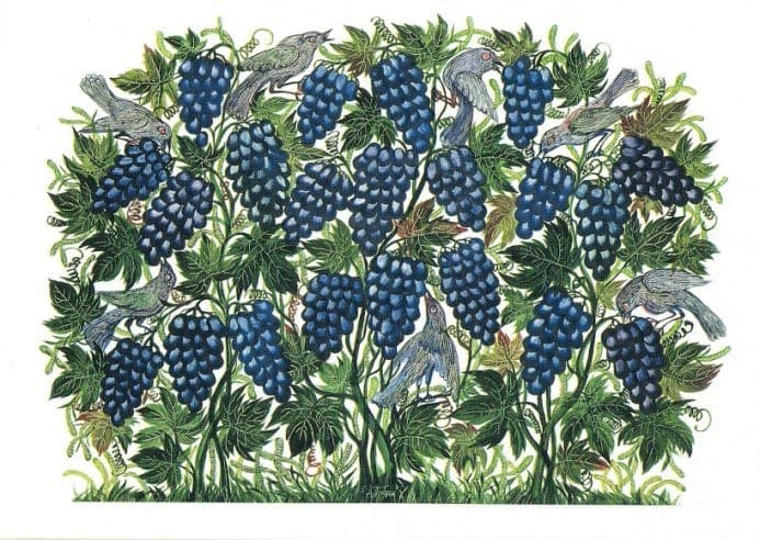 Grapes and birds